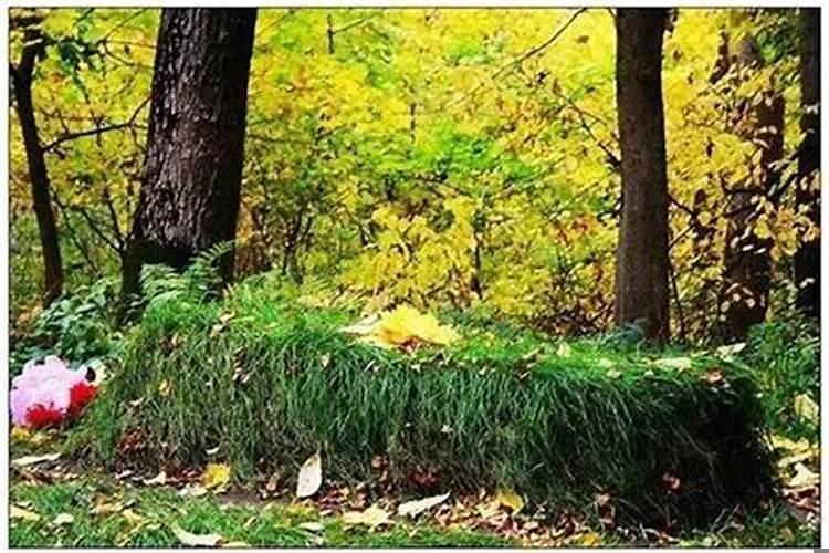 世界上最漂亮的坟墓