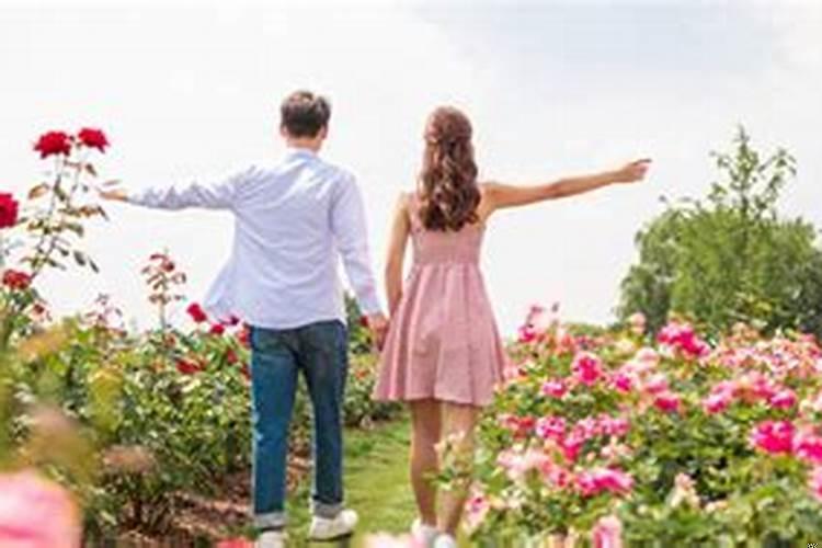 金牛座男生双鱼座女生配对