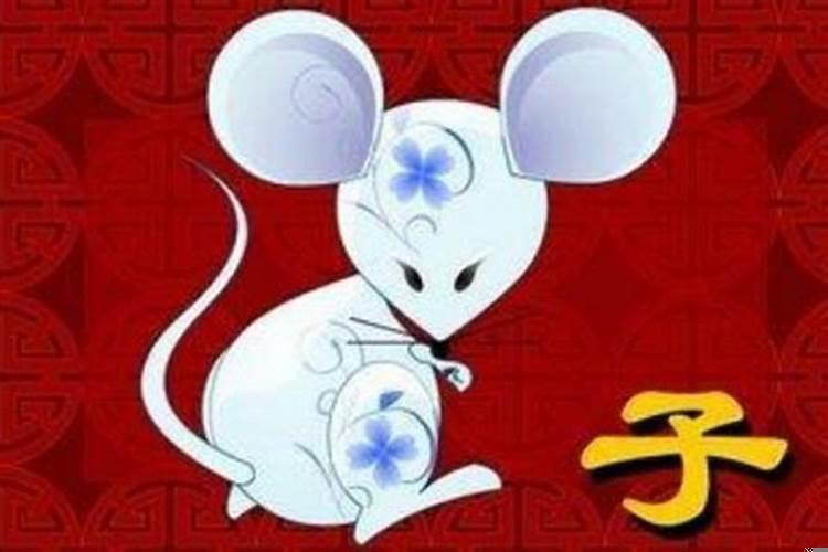 鼠和哪个属相配？属鼠的跟哪个属相合适