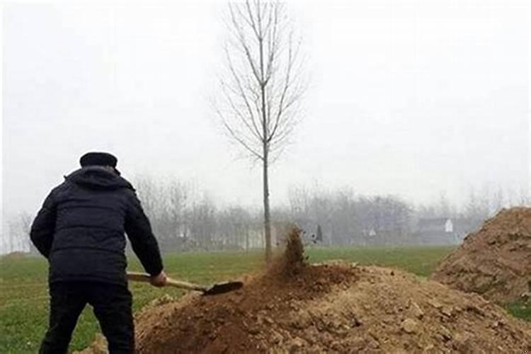 坟地的土有什么讲究