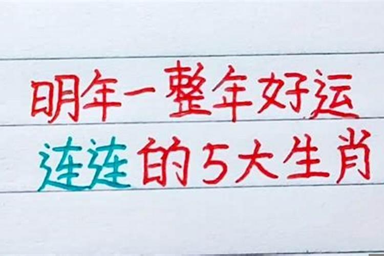 明年财运最旺的三大生肖