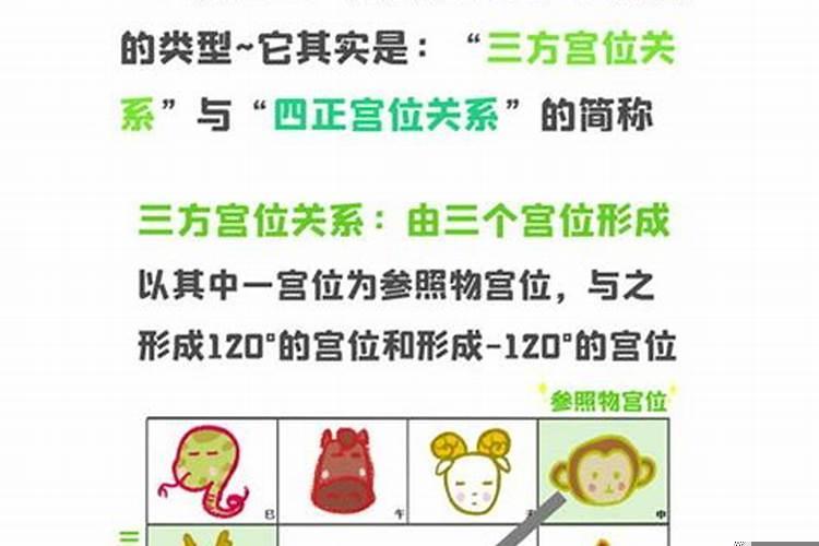 紫微合婚排盘(大运合婚姻宫)