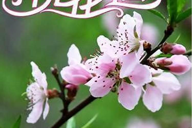 男生怎样增加桃花运？男生怎样招桃花运