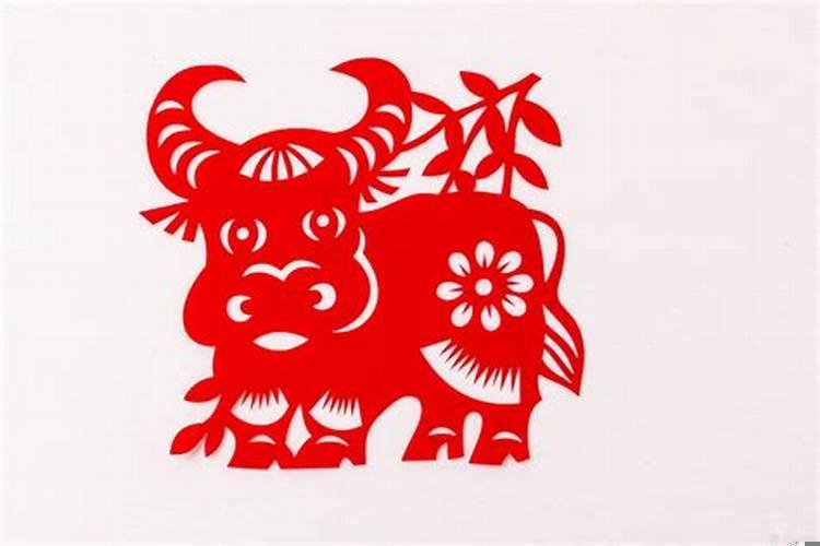 属牛人的事业与财运(正印大运是什么样的运气)