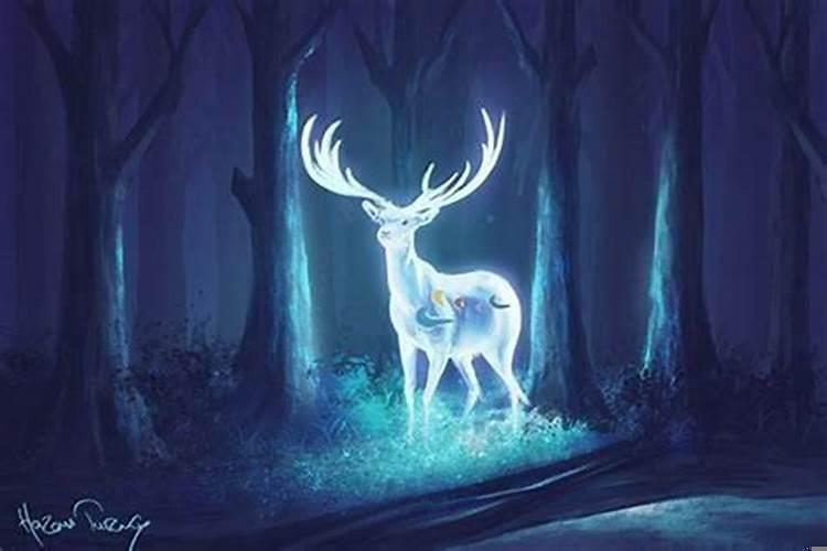 12星座的上古神兽化身,双鱼座的神兽是玄武吗还是狮子