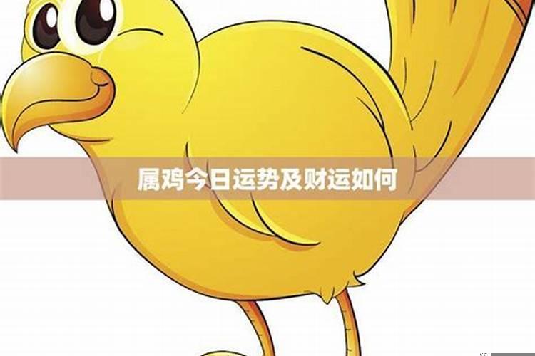 属鸡的人今日运势和财运如何？八字天福贵人