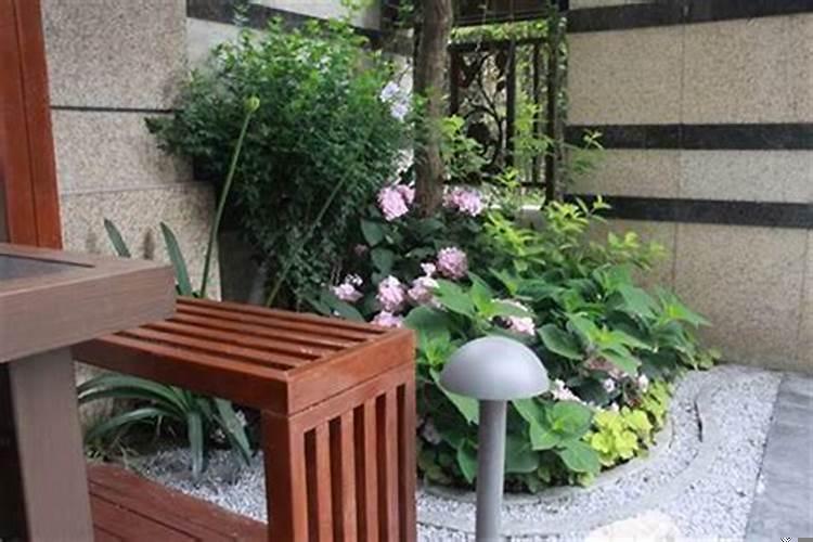 院门外适合栽什么树