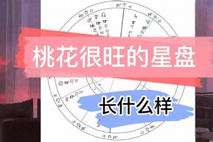 桃花运看什么星盘？一什么什么桃花运电视剧