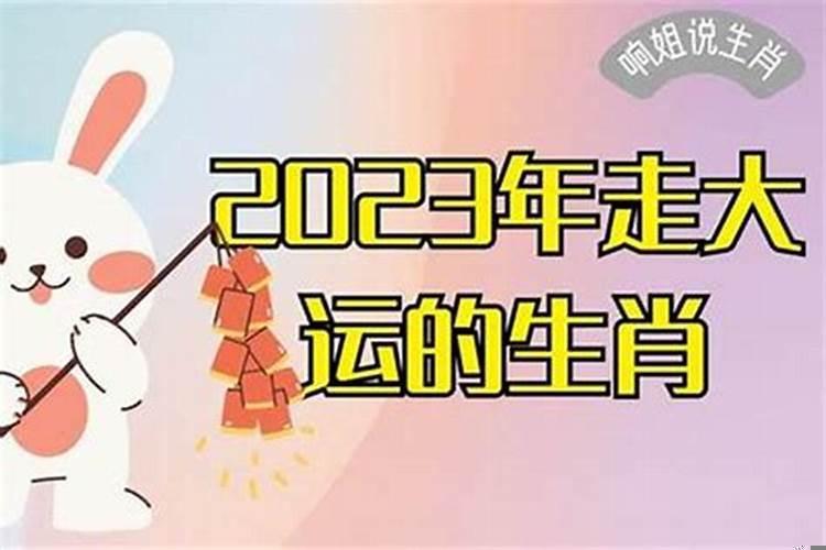 今年最有财运的生肖(2025年走事业运的生肖)