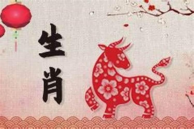 属相相冲的人能做情人吗？属龙女适合做情人吗知乎