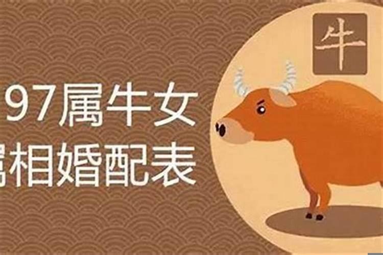 属牛的跟哪些属相相合？属牛和什么属相最配