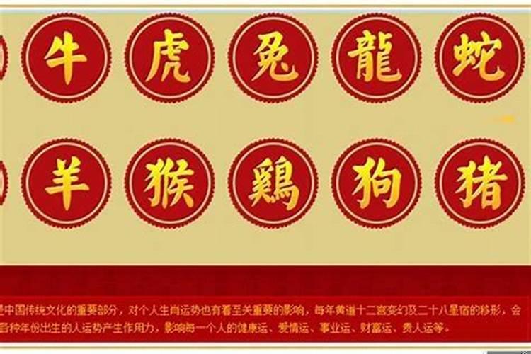 9月1日生肖运势早知道（兔年鼠人学业运势）