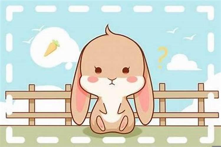 属兔的爱情什么时候稳定？87年女今年有桃花运吗