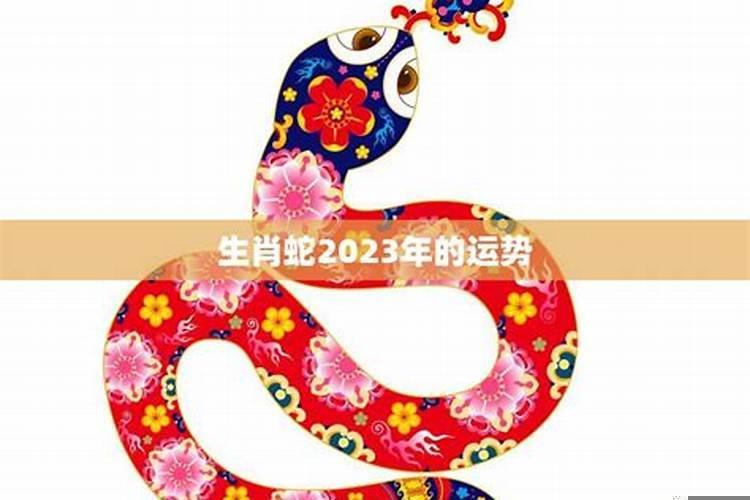 生肖蛇2025年运势大全，属羊虎年运势及运程