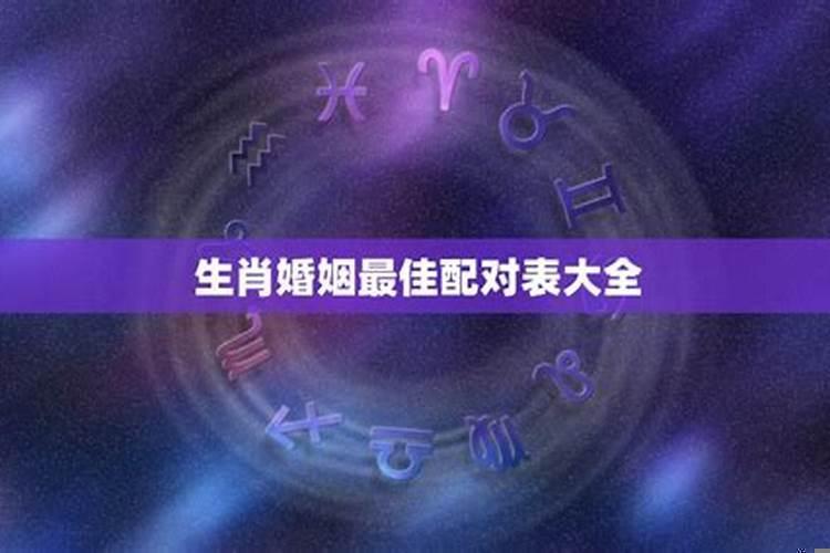 十二生肖婚配上等婚与下婚(男兔女羊生龙宝宝好不好)