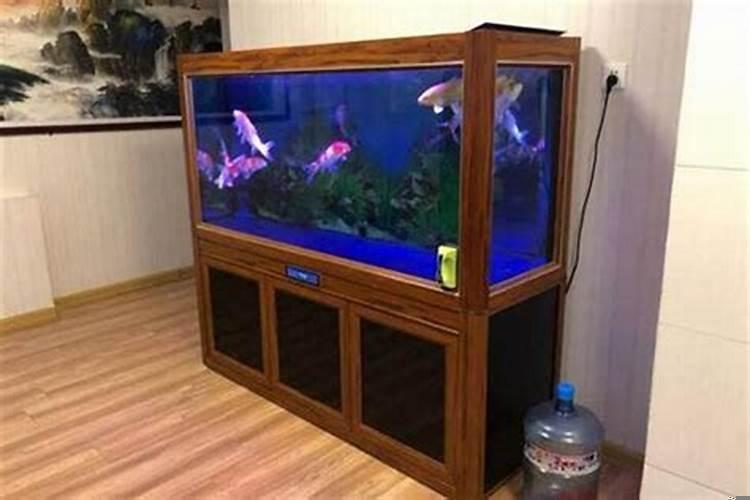 家庭鱼缸养很多鱼好吗