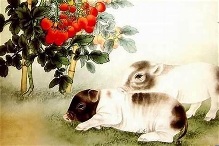 属鸡和鼠属相合不合财（属鼠的与属鸡的合财吗）