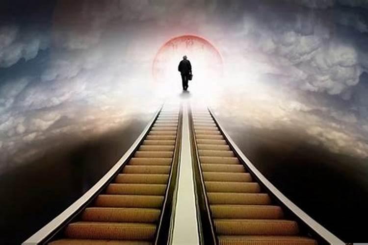 怀孕的人梦到死去的人又死了