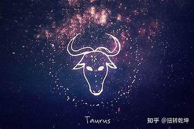 属马的金牛座今年运势，属马 金牛座