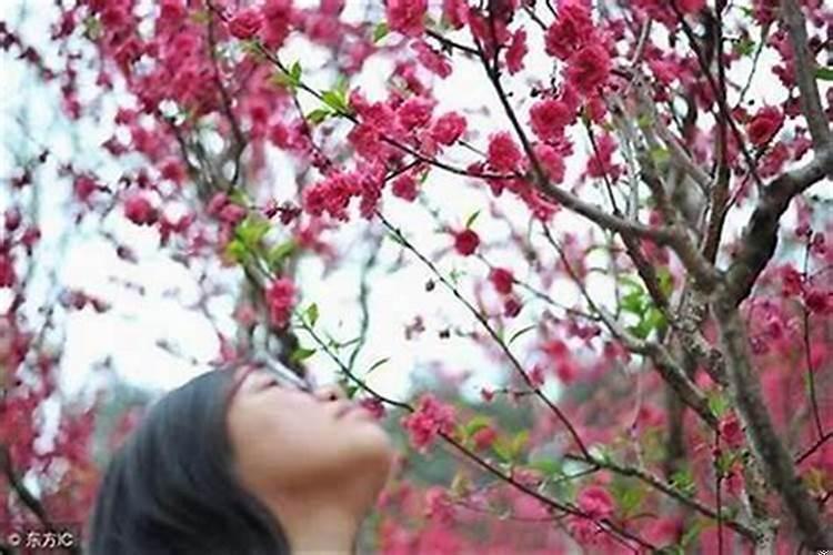 怎样破桃花老婆是桃花运？女人犯桃花怎么破