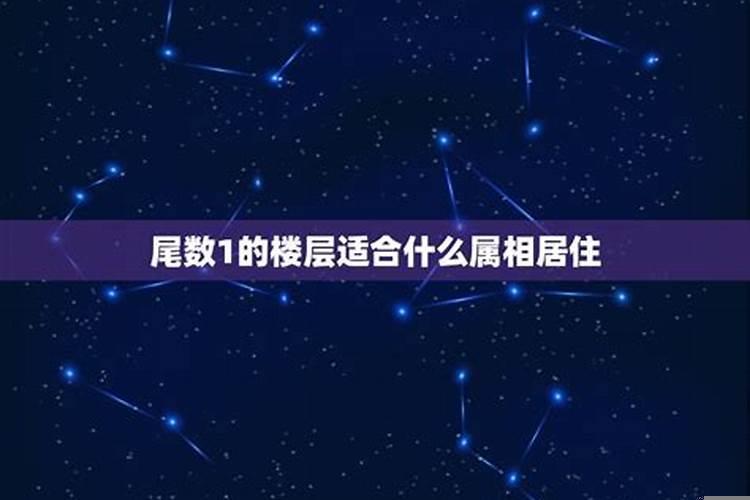 三楼属什么生肖最好