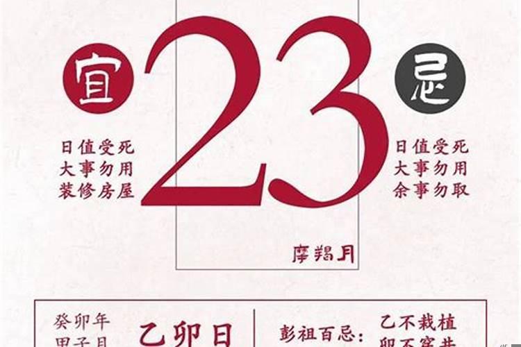 射手座2025年运势闹闹女巫，射手座学业考运今年运势
