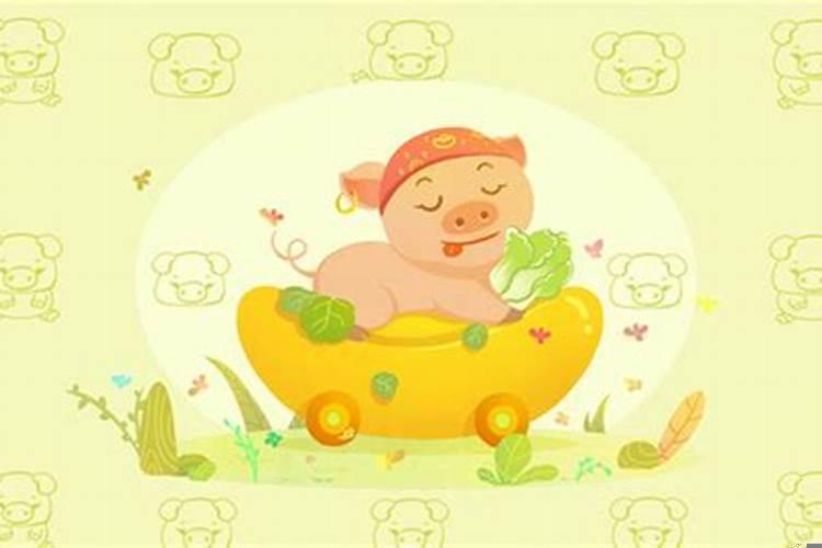 懂得孝顺父母的生肖，父母属猪生什么属相宝宝好