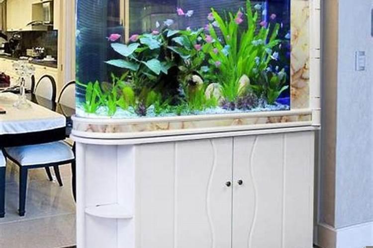 鱼缸旺财的风水 鱼缸怎样摆放才能招财