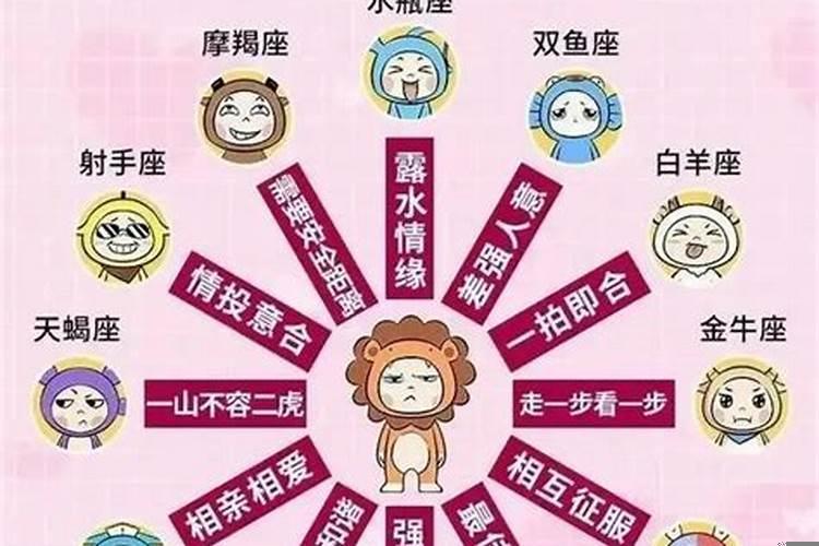 属猪的狮子座适合什么事业？生肖属什么的狮子座命最好