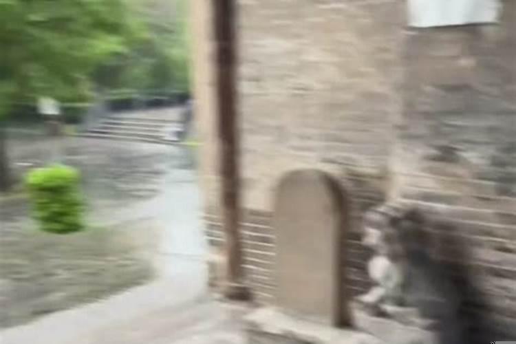 注定孤独终老的生肖（92年属猴人2025年好吗）