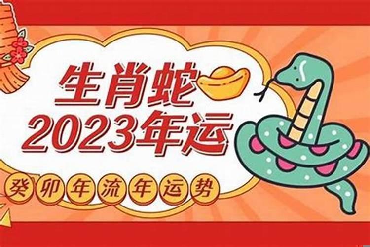 今日运势及财运（属蛇的2025年学业运势如何）
