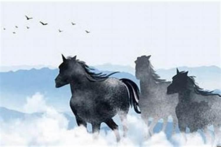 梦见马代表什么意思？梦见马什么意思啊