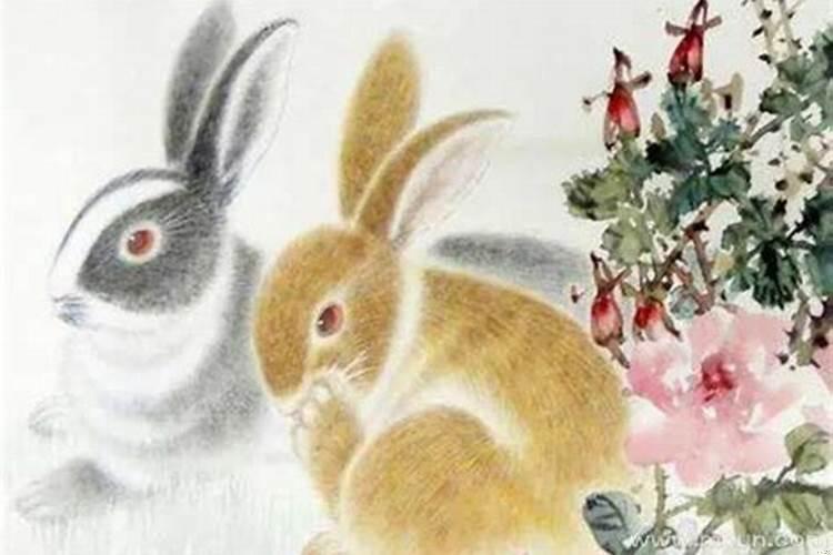 2025年兔年命咋样（2025年属兔本命年该怎么注意）