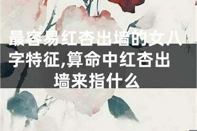 最容易红杏出墙的属相，最容易出轨的属相女