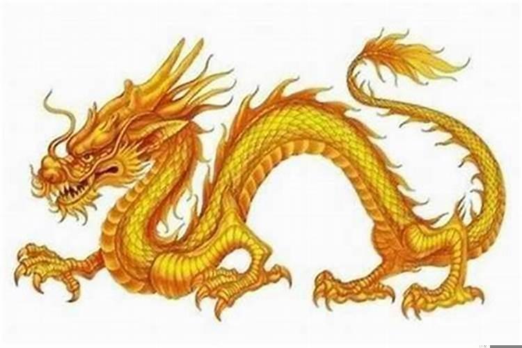 1976年属龙一生的命运，属龙的人对情人怎么样？