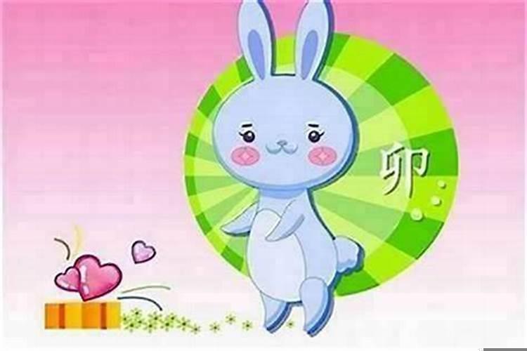 为什么属兔今年运气差？属兔的今年为什么霉运不断呀
