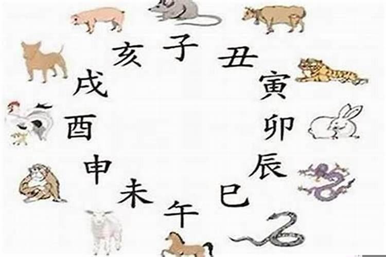 属蛇和蛇属相合不合 哪些属相不合