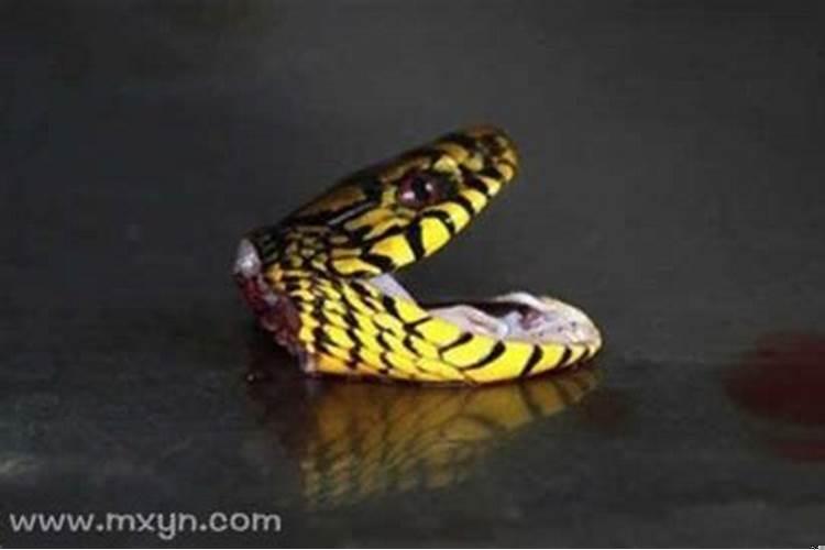 梦见情人出轨是什么意思男人？梦见情人出轨了是什么意思