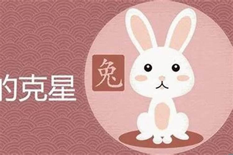 属兔的克星是什么属相？属兔的人和属什么相克