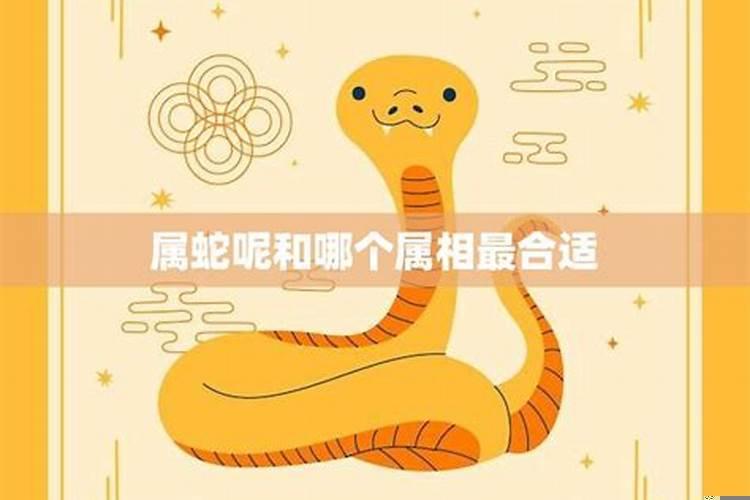 属蛇与什么配偶最吉祥？属蛇的和什么属相结婚好