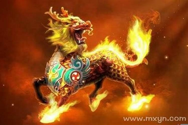 做梦梦到黑麒麟 梦见了黑龙是怎么回事