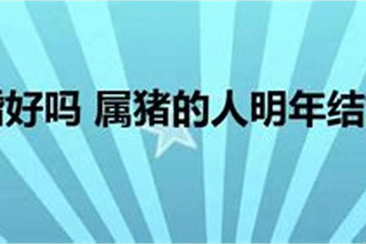属猪今年会结婚吗?68年猴穿什么颜色的衣服