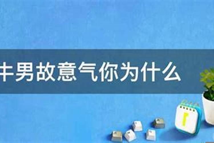 金牛座男故意气人的表现（金牛男会故意气你吗）