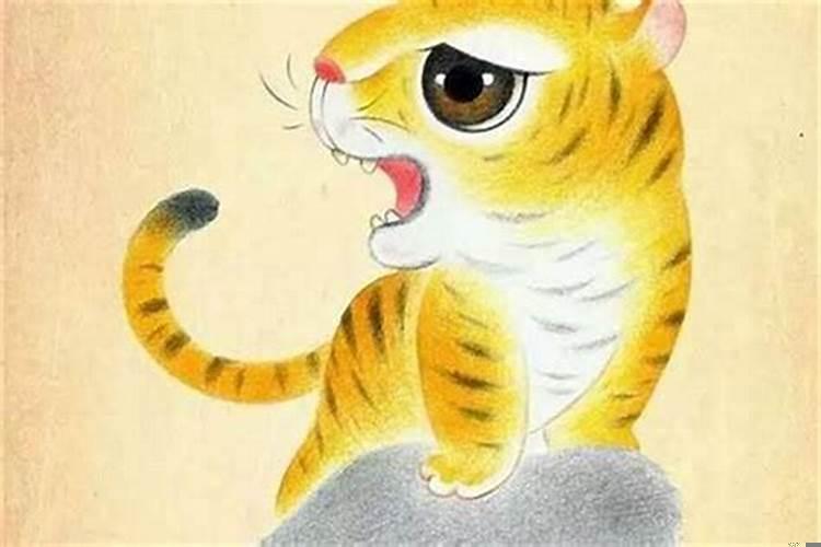 属鼠男与属虎女的婚姻相配吗？女虎跟男鼠合得来吗