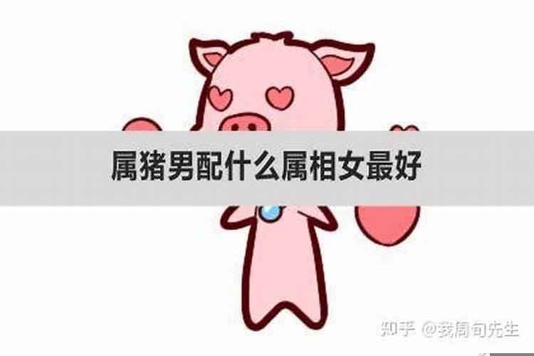 女属羊男属虎相配吗婚姻？男属羊女属虎婚配好吗