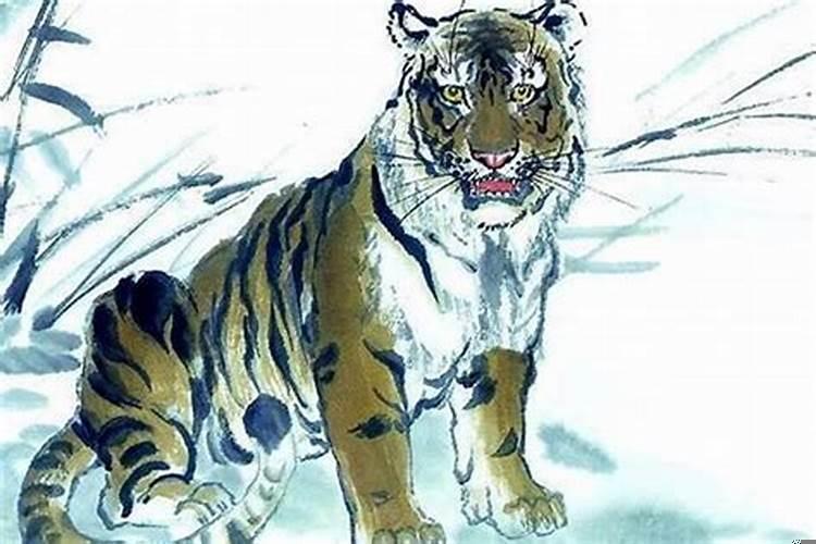 98年属虎的是什么星座？属虎人从来不怕没有工作