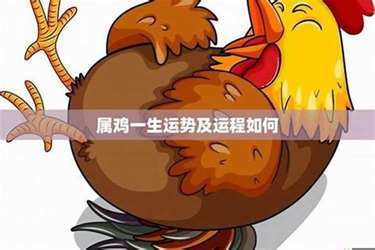 属鸡2025年是什么命？属鸡今年每月运程