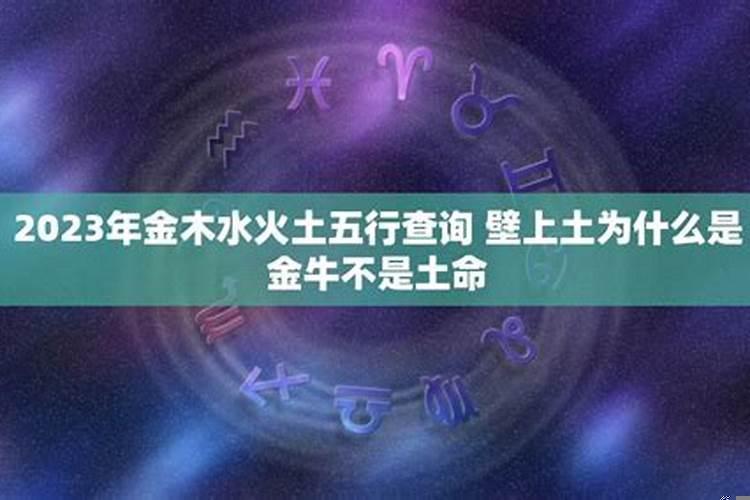 2025年金木水火土属什么年？生辰怎么看金木水火土