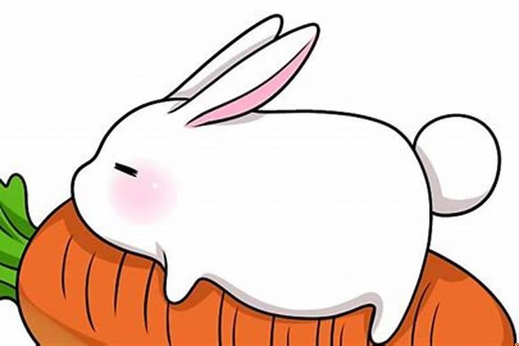 女属兔的婚配最佳是什么？兔女和哪个属相最配婚姻