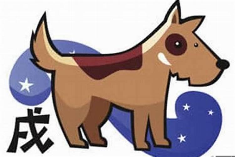 属狗下半年的财运和运气如何？属狗的六月份学业运势如何